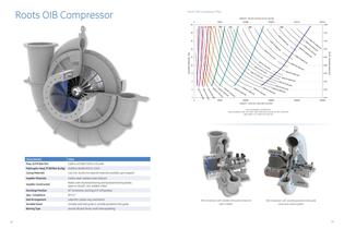 Roots* API-617 and API-672 IGCH Centrifugal Compressor - 6