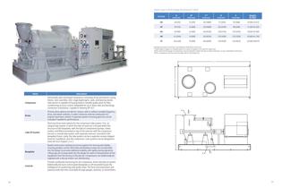 Roots* API-617 and API-672 IGCH Centrifugal Compressor - 9