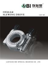 Luoyang SBI slewing drive - 1