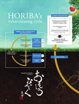 HORIBA Report-6