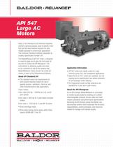 API 541 Large AC Motors - 1