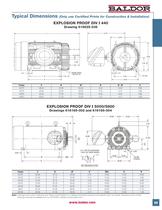 Large AC Motors - 41