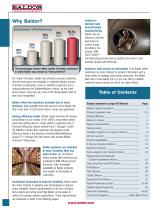 Large Frame AC Induction Motors - 2