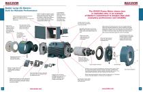 Large Frame AC Induction Motors - 4