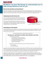 Large Frame AC Induction Motors - 5