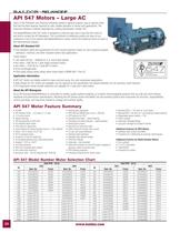 Severe Duty Motors - 24