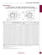 Severe Duty Motors - 33