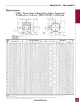 Severe Duty Motors - 35