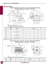 Severe Duty Motors - 38