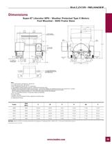 Severe Duty Motors - 39