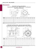 Severe Duty Motors - 40