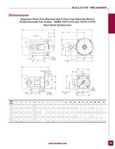 Severe Duty Motors - 43