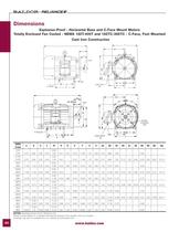 Severe Duty Motors - 44