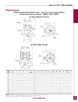 Severe Duty Motors - 45