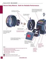 Severe Duty Motors - 4