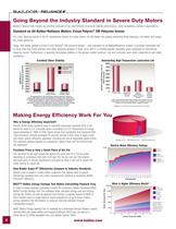 Severe Duty Motors - 6