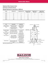 Submersible Motors - 2