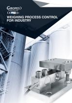 Weighing process control for industry - 1