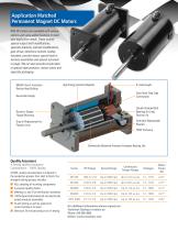 RAE™  DC Motors, Gearmotors and Controls - 3