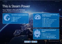 2018 STEAM POWER PRODUCT CATALOG-3