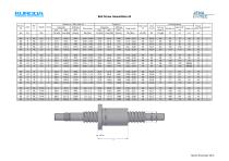 Ballscrew: Full Catalogue - 11