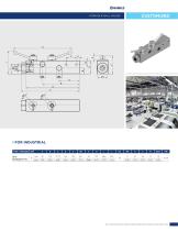 CUSTOM VALVES-10