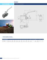 CUSTOM VALVES-11