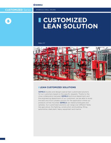 CUSTOM VALVES
