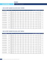 CUSTOM VALVES-21