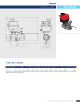 CUSTOM VALVES-2