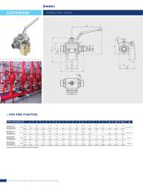 CUSTOM VALVES-3