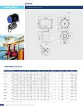 CUSTOM VALVES-5