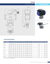 CUSTOM VALVES-6