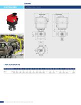 CUSTOM VALVES-7