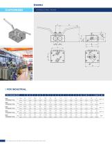 CUSTOM VALVES-9