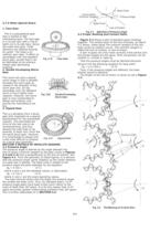 DETAILS OF INVOLUTE GEARING - 1