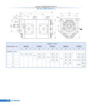 Gear pumps Series Master-18