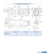Gear pumps Series Master-19