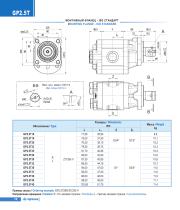 Gear pumps "T" series-12