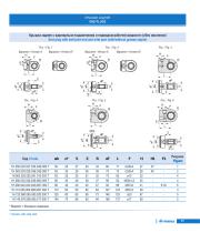 Hydraulic Cylinders-19
