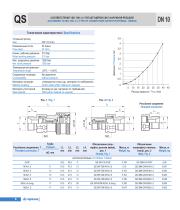 Quick Release Coupling, fittings, high pressure hoses-10