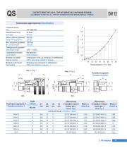 Quick Release Coupling, fittings, high pressure hoses-13