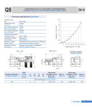 Quick Release Coupling, fittings, high pressure hoses-9
