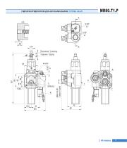Tipping valves for trucks-9