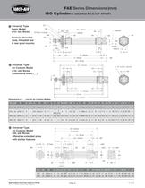 FAE Series ISO-6432 Catalog-6