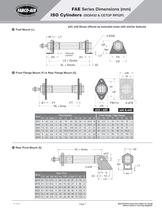 FAE Series ISO-6432 Catalog-7