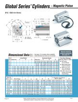 Global Series ™ Air Cylinders-20