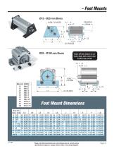 Global Series ™ Air Cylinders-31