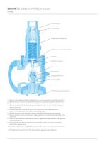 BIRKETT WB SERIES SAFETY RELIEF VALVES-3