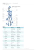 BIRKETT WB SERIES SAFETY RELIEF VALVES-9